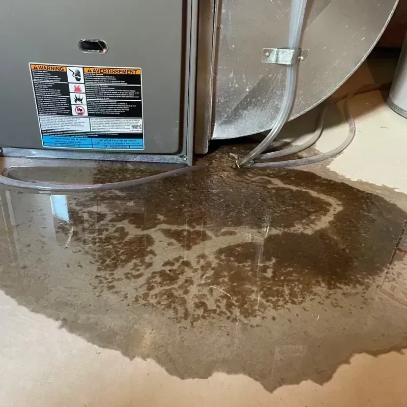 Appliance Leak Cleanup in Calumet City, IL